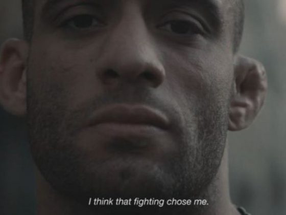 A fighter in the wind - Norman Paraisy