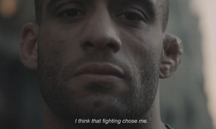 A fighter in the wind - Norman Paraisy