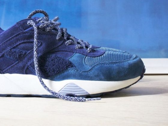 bwgh-puma-the-bluefield-project-4