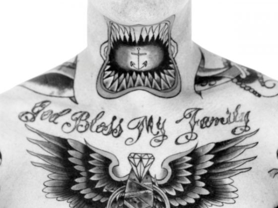 don-t-call-it-cool-de-david-mushegain-cover