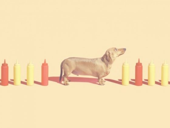 Andrew-B.-Myers-47-cover