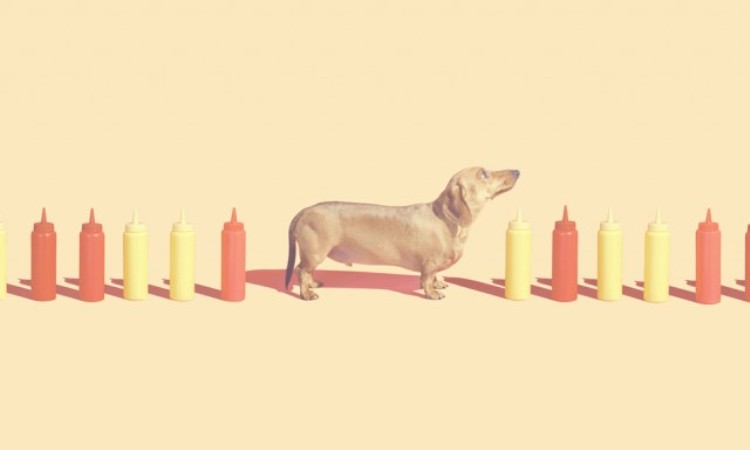 Andrew-B.-Myers-47-cover