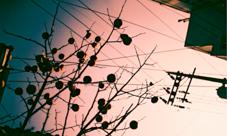 blakey_bear_blog_illustration_photographie_graphisme_design_motion-cover