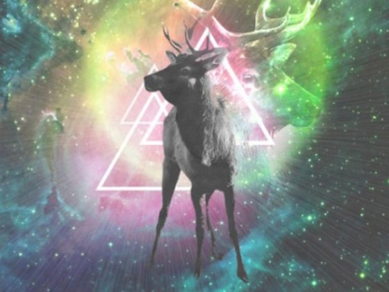 drew-turner-art-space-elk-cover