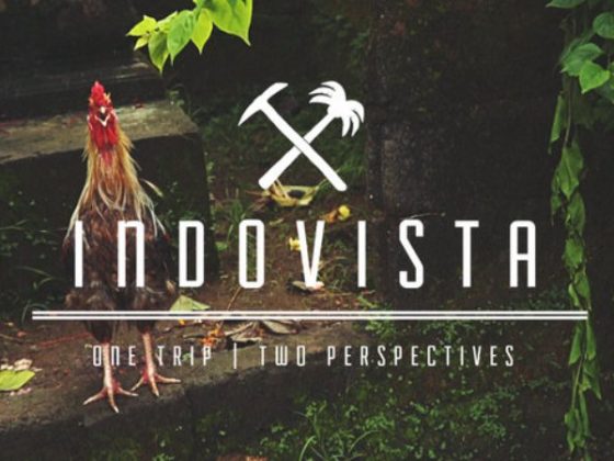 indovista-film-trip