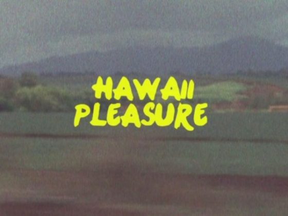 hawaii-pleasure-cover