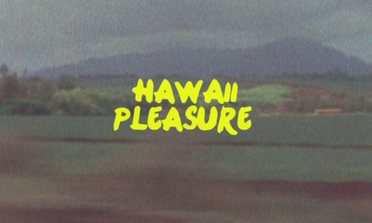 hawaii-pleasure-cover