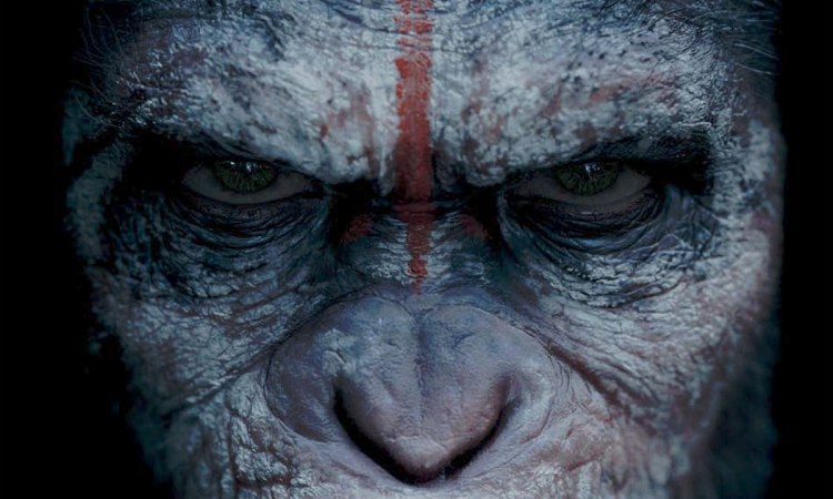 planete-singes-affrontement-bande-annonce-cover