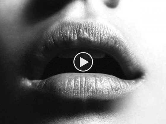 playlist-41