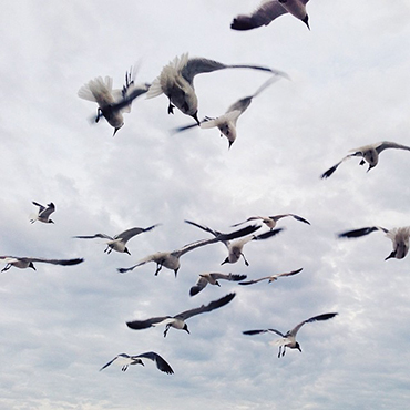 6-instant-instagram-chris-schoonover