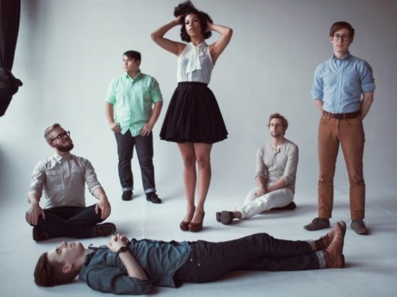 kingfisher-clip-phox-cover-folkr