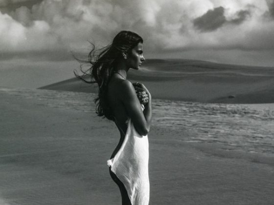 treats-magazine-kesler-tran-desert-cover