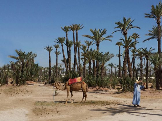 voyage-maroc-trip-2015-folkr-cover-01