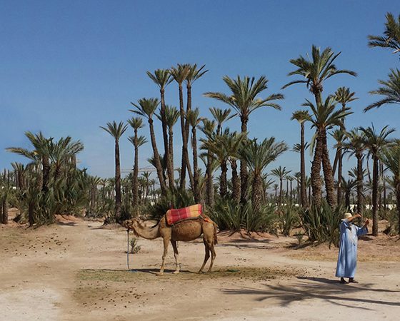 voyage-maroc-trip-2015-folkr-cover-01