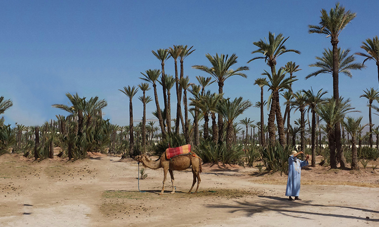 voyage-maroc-trip-2015-folkr-cover-01