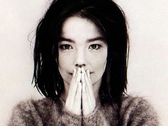 a-guide-to-cool-folkr-bjork-cover